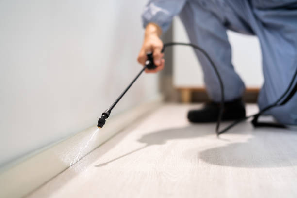 Licensed Pest Control service in Linden, AL - Show Me Pest Control