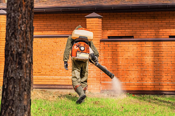 Bed Bug Clearance Verification and Documentation in Linden